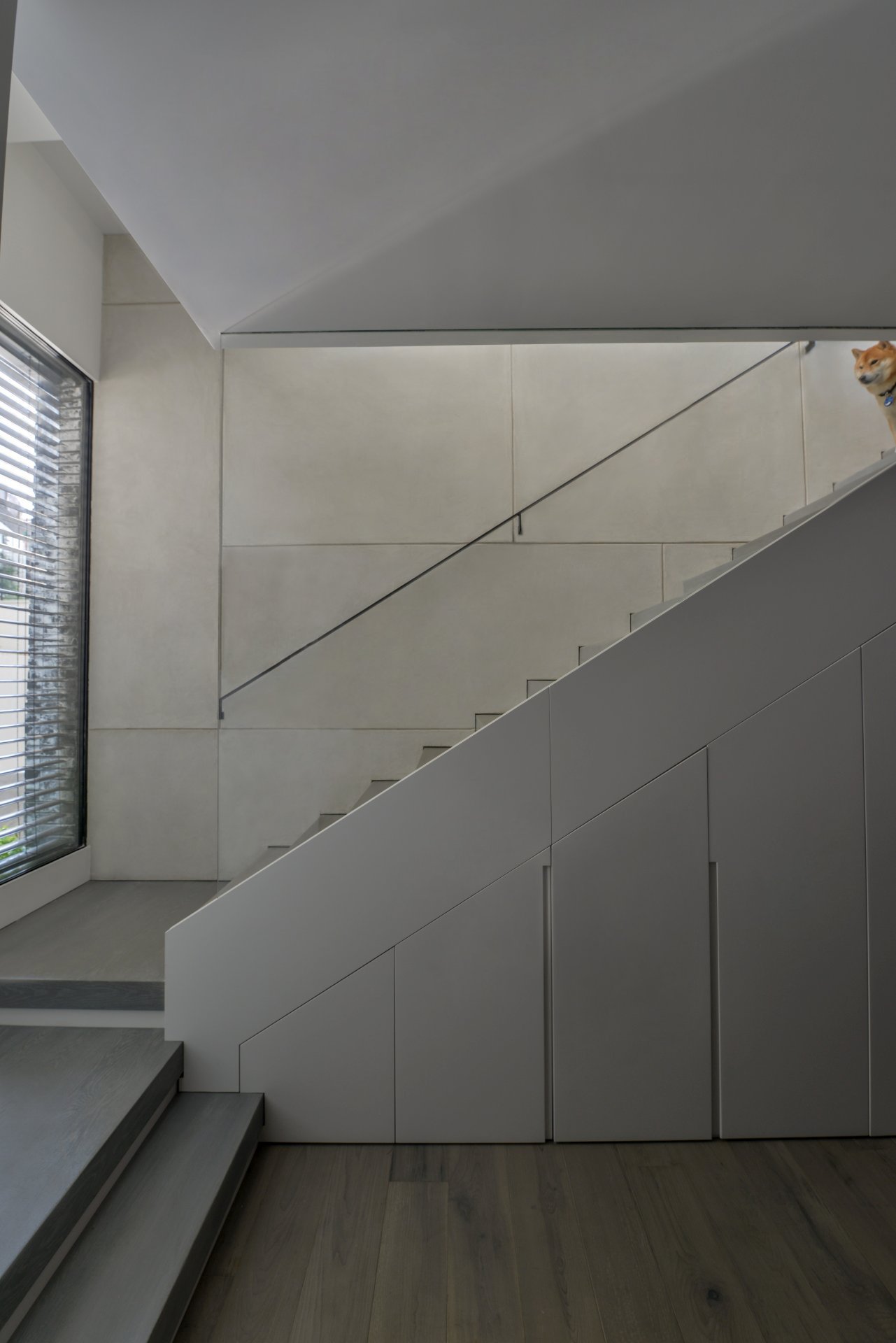 מדרגות מרחפות עץ אלון אמריקאי מגוון עם מעקה ברזל וזכוכית